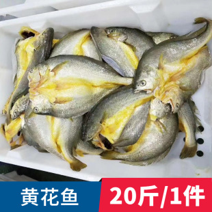 ���l���r���ˮ�a�S�~���S���~�_���S���~���S�~ԭ�l�_߅����ʳ��