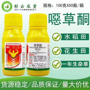 ���t250��/���f��ͪ����ͪˮ������������ǰ���]���݄�