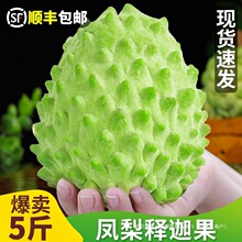 ���r�P����ȹ�����֦5���Ŀţ���P����^��������ˮ����S���]3