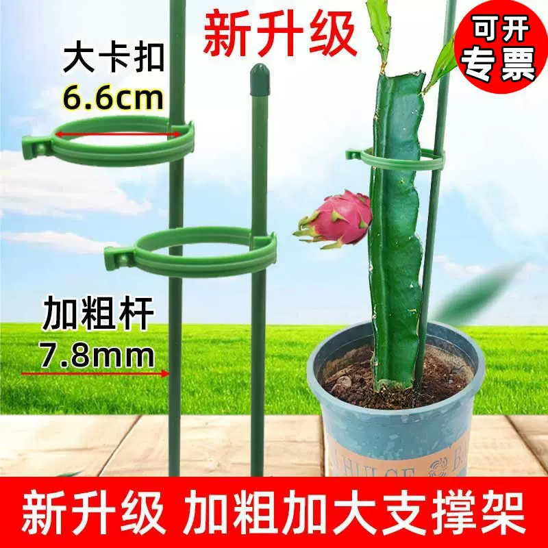 盆栽植物固定防倒伏护叶架月季花卉花枝扶持架多肉蝴蝶兰花支撑架