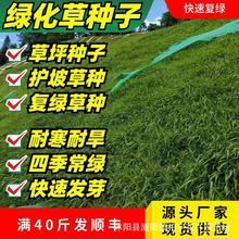 ƺNo²ļݷNӸé̺ͺβ