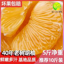 ���ڳ�ɽ���֮a��ֱ�l�Ϙ���ֳ�ɽ���䱡Ƥ�S����������10��