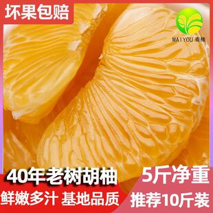 ���ڳ�ɽ���֮a��ֱ�l�Ϙ���ֳ�ɽ���䱡Ƥ�S����������10��