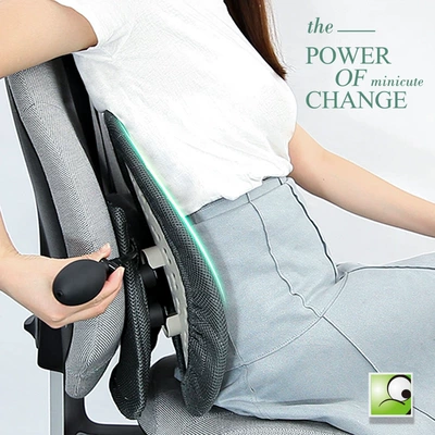 Mijo Ergonomic Waist Cushion: Waist support
