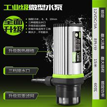 微动力家用抽水泵12V 220V 小型自吸潜水泵 水钻水泵专用