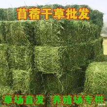 ������ޣ��ι��������L�i¹���m�i������ϻ���ޣ