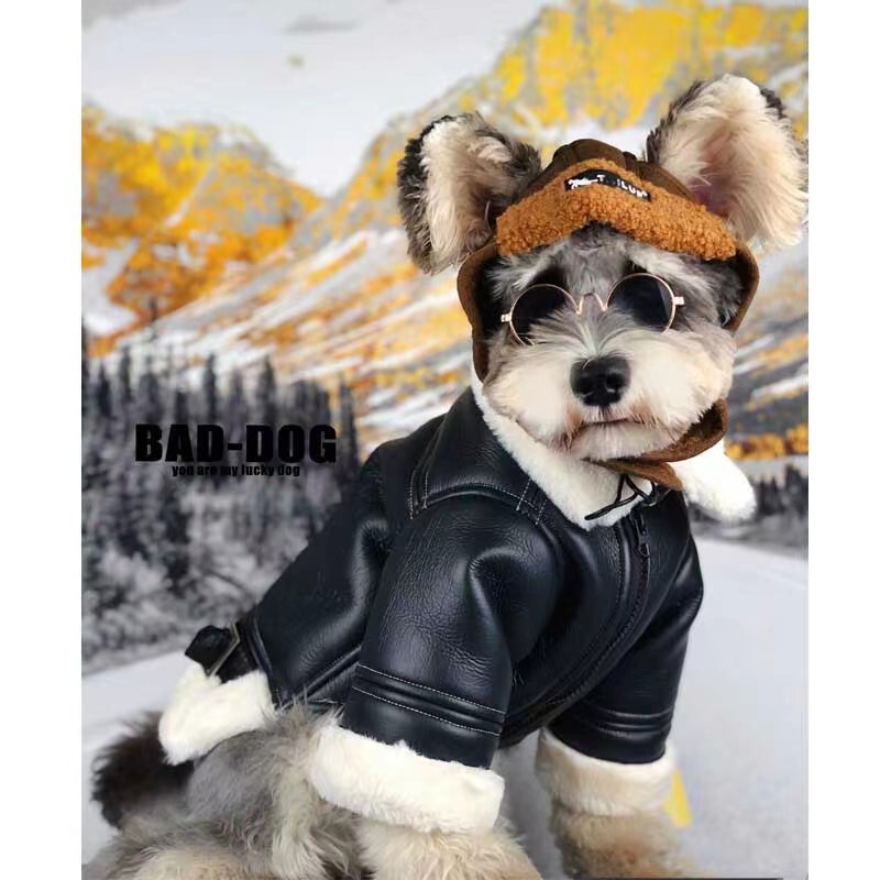 New Autumn and Winter Pet Clothes Jacket, Flying Eagle Leather Jacket, Fleece-Lined Warm Pet Clothing, Cat and Dog Clothing Supplies