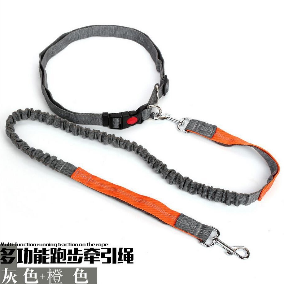 Correa de perro popular transfronteriza con dibujo de alambre reflectante de noche elástica suministros para mascotas al aire libre perro corriendo cuerda para caminar