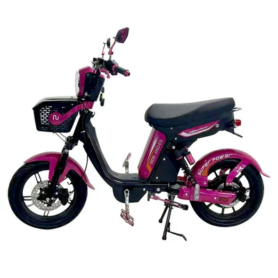 Elektrikli motosikletlər Motorcycle 48V High-Power Foreign