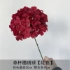 Single Ring Sygenic-Red