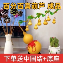 ��Ȼ���J�͏d�k���������b���ؔ�Lˮ�[�����ֹ��������Jһ����