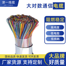 阻燃大对数电话电缆HSYV室内机房大对数线缆楼宇综合布线工厂