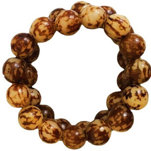 �����ѻ�������ִ� ���� ��������������� �ִ�