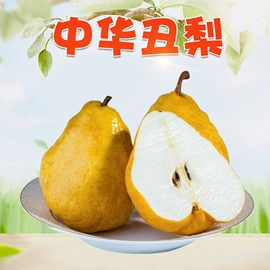 代用/养生茶;苹果;花果茶