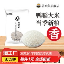 谷米集鸭稻东北大米黑龙江大米香米圆粒米2023年新大米东北当季米