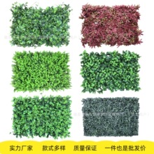 wֲWtƺƤ̨Gֲֲ