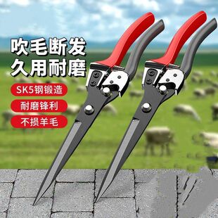 �߶��¿�SK-5䓴�̖���ɼ������ֹ�������ë����ë���քӼ���