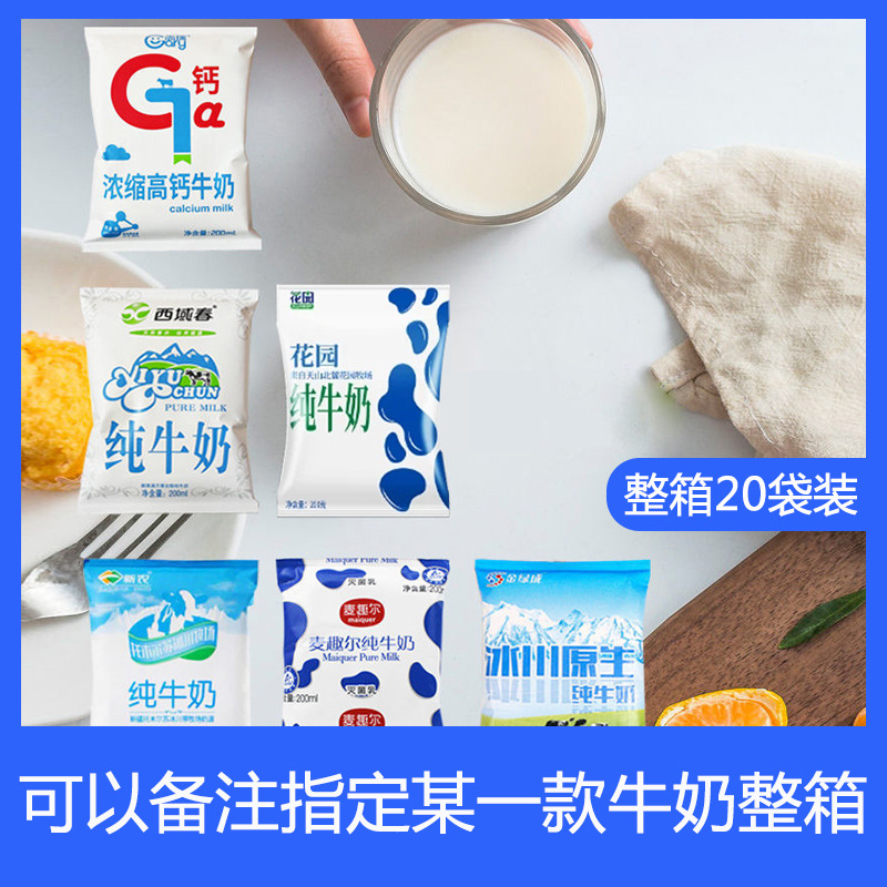 【New Date】Xinjiang Breakfast Pure Milk Blind Box 200ml*20 Bags Arbitrary Combination Mix, One Item to be Delivered