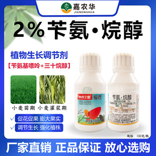 2%�а���������ʮ�鴼�\�������ƷС��ֲ�����L�{��������ֲ��