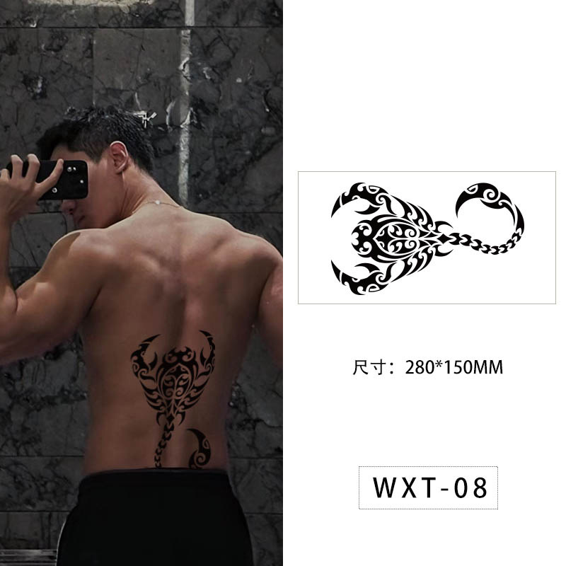 WXT-08 / 280*150MM