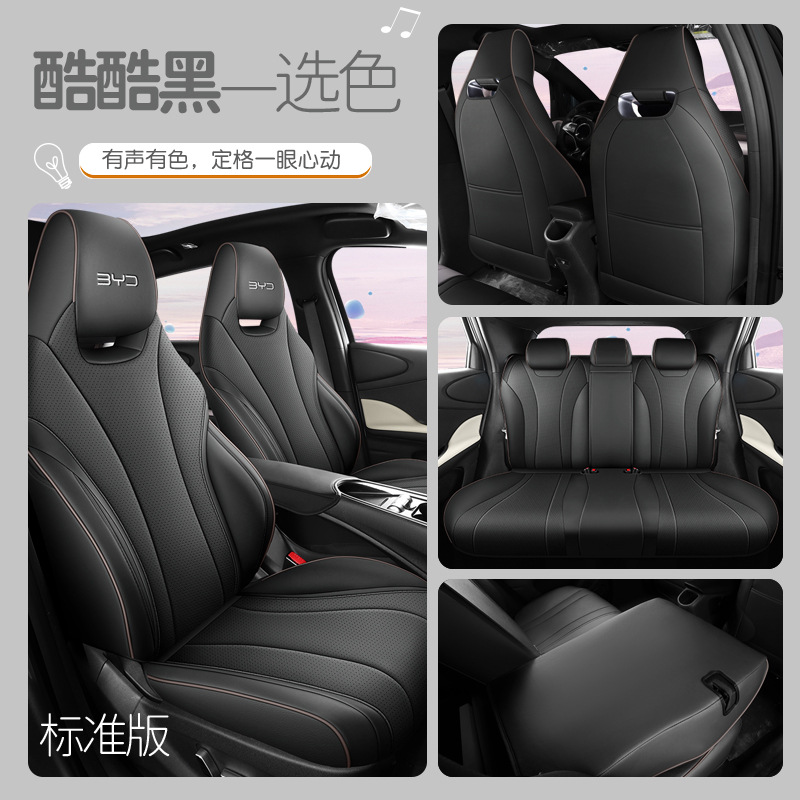 CLY BYD 돌고래 모든 것을 포함하는 표준 판 쿨 블랙