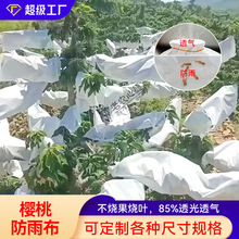 ���ҷ��겼܇����������ѹ��r�I���x���B͸��͸�������겼���l