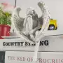 美感节日破碎系列礼品