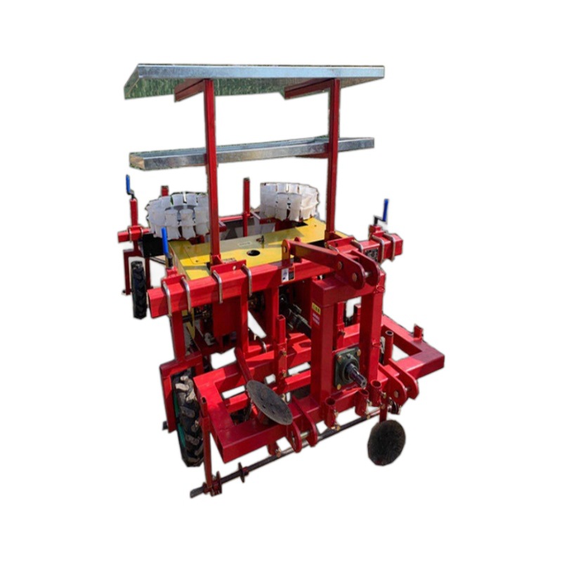 Máquina de trasplante de plántulas de patatas dulces Máquina de trasplante de plántulas de acero inoxidable Vegetales colza plantación de col una mina image 6