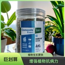 WGMwጷ318S߲ͨòЧLGֲ