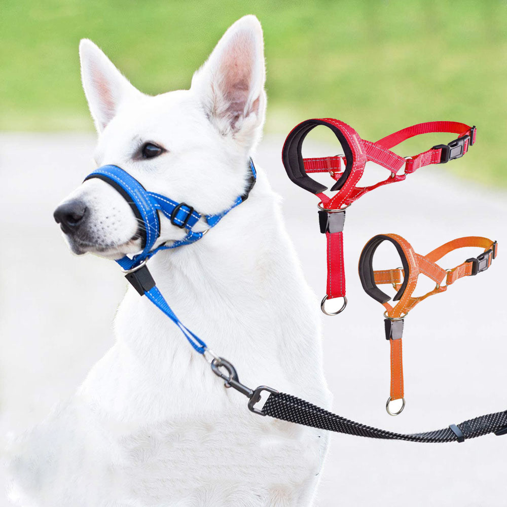 New pet dog mouth rope mouth