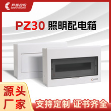 NxPZ30҃ȰbF揊늲՚_P