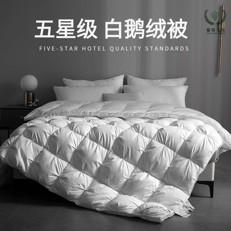 Down Quilt 95% White Goose down Quilt Thickened Warm Winter Quilt Spring and Autumn down Quilt Core Cotton Quilt Hungarian Gift Quilt