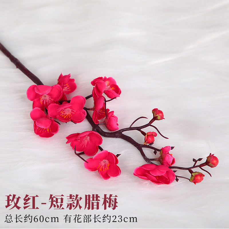 짧은 로즈 레드 윈터스윗