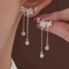 Silver earrings
