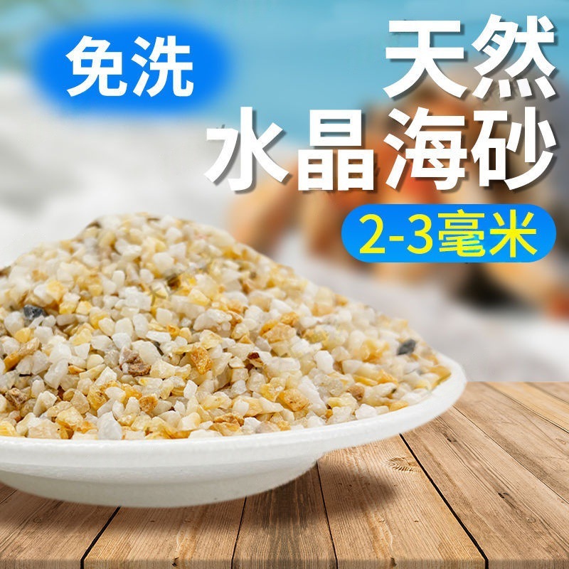 海砂寄居蟹専用砂水草カニ底砂石亀敷底純天然流砂水槽底砂|undefined
