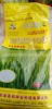 Drought rice early rice late rice stalk rice routine rice seeds, rice seeds, original species