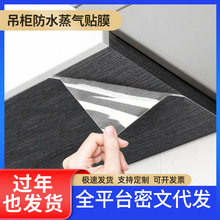 ���������N����ճ�N��������ˮ�������ӵײ�͸���NĤ���������͟�