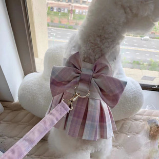 Pet Panda Teddy Dog Clothes Spring and Autumn Bow Princess Dress Female Dog with Leash