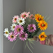 �羳���N4�^�ɹ��ղݱ����滨�JȔ�����쾰Ʒ�|Դ�^���S���lܛ�b