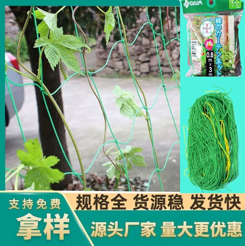 植物爬藤网绿色园艺网花卉格子网支架网菊花芹菜百合抗风抗倒伏网
