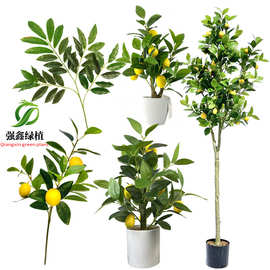仿真柠檬叶 假橘子柠檬树枝盆景 绿叶盆栽摆件 假绿植柠檬果