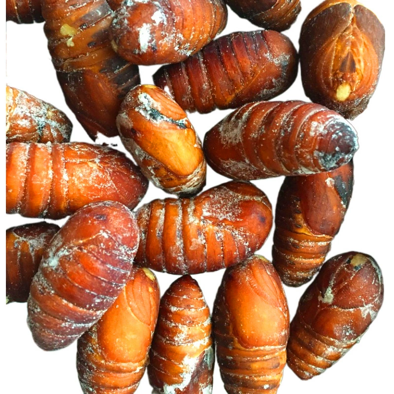 Оптовая замороженная большая кукла тутового шелкопряда 10 кг мешки коммерческие ревень кукла Цикада кукла экспорт барбекю жареные шампуры