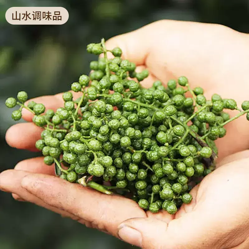 OEM加工四川青花椒颗粒家用炒菜调味品麻椒特麻藤椒干青花椒颗粒