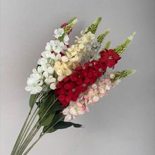 �羳��֧���~�ݻ�c���滨�L���ӻ�Y�ò廨ܛ�b�Ƶ겼�üٻ����Q