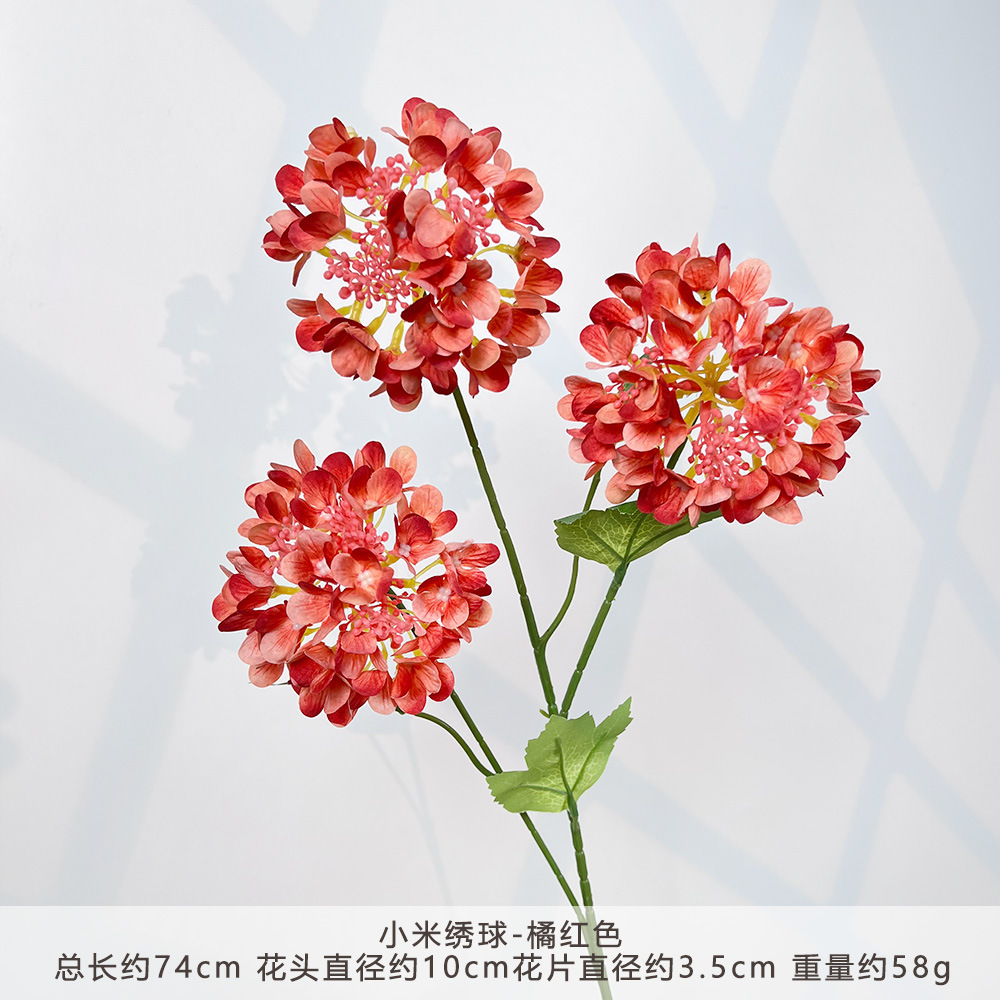 YD-Xiaomi Cẩm Tú Cầu-Cam
