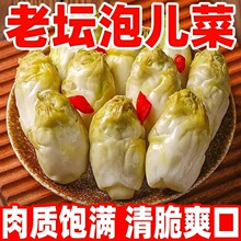 四川新鲜脆嫩特产泡菜泡儿菜酸辣儿菜腌制酸辣开胃下饭菜