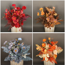 Yʾ·軨cT̨·_R··ɭϵջ