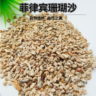 �����eɳɺ��ɰ�ľ�зɳؐ��ɰ��ϴ���װ׼�ɳ�~����Ȼ�쾰����