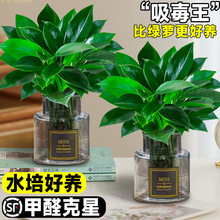 �������ֲ���K����k����ˮ����~�Gֲ�҃ȿ͏d�̨���˺��B����