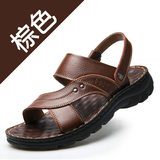 Màu nâu 10135